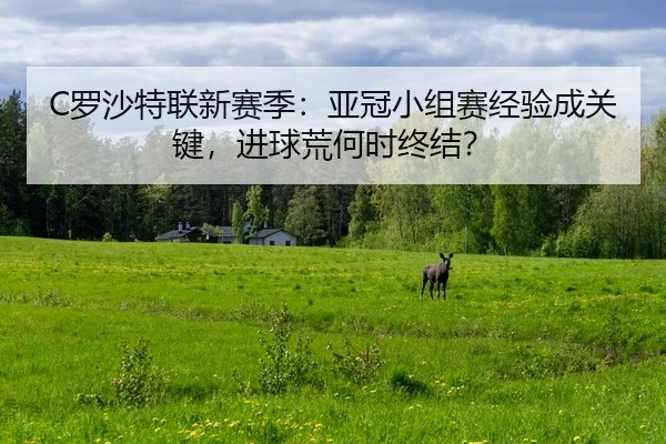 C罗沙特联新赛季：亚冠小组赛经验成关键，进球荒何时终结？