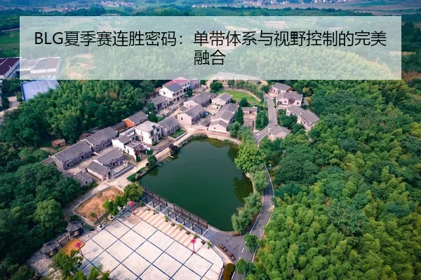 BLG夏季赛连胜密码：单带体系与视野控制的完美融合