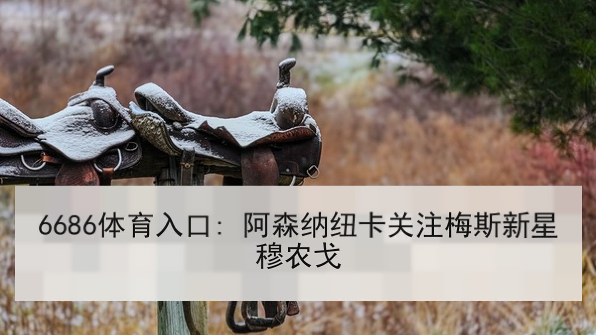 6686体育入口: 阿森纳纽卡关注梅斯新星穆农戈 6686体育入口: 阿森纳纽卡关注梅斯新星穆农戈