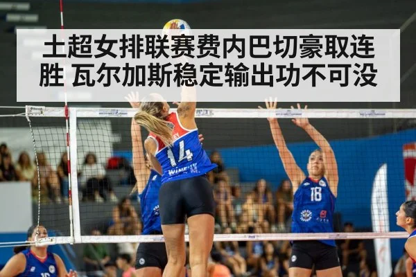volleyball match action
